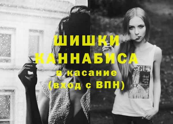амф Осинники