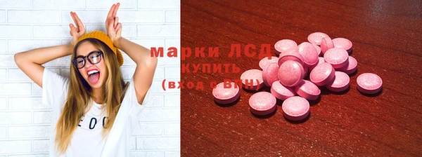 гашик Осташков