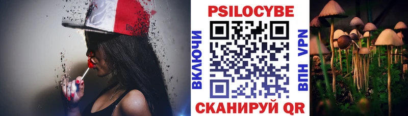 Псилоцибиновые грибы Magic Shrooms Владивосток