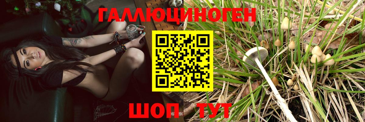 Псилоцибиновые грибы Psilocybine cubensis  Вход с VPN  закладки  Владивосток 